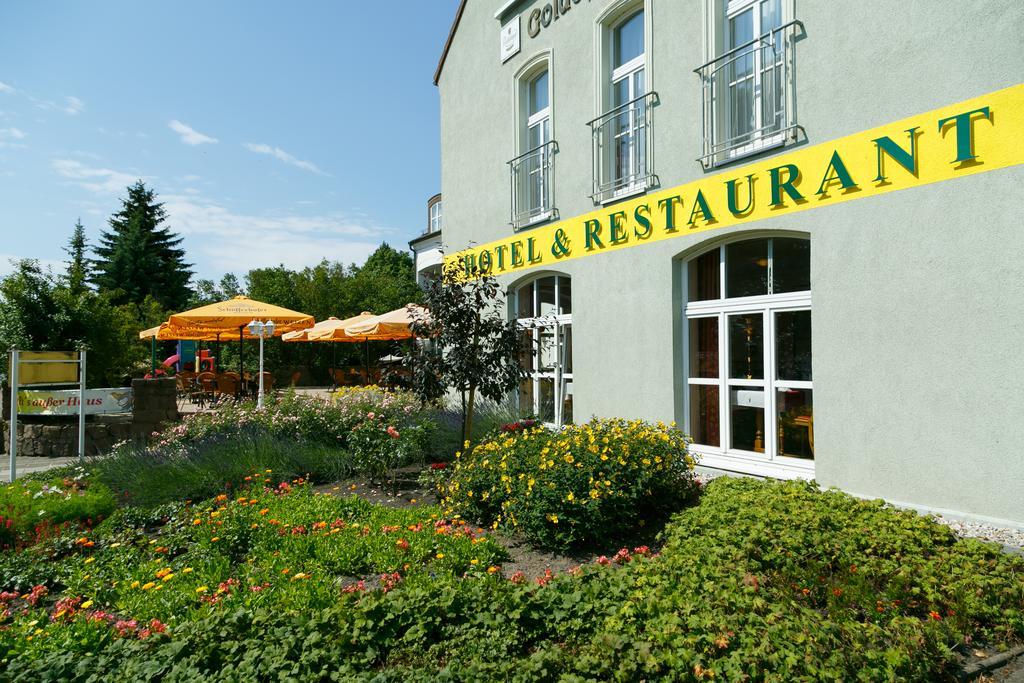 Hotel Goldener Fasan Oranienbaum-Woerlitz Εξωτερικό φωτογραφία
